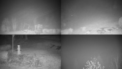 Sdružený snímek okolí chaty Myslivna