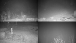 Sdružený snímek okolí chaty Myslivna