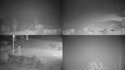 Sdružený snímek okolí chaty Myslivna