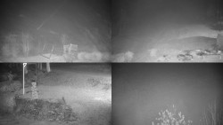 Sdružený snímek okolí chaty Myslivna