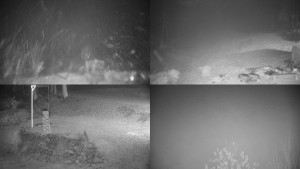 Chata Myslivna SKP Olomouc - Sdružený snímek okolí chaty Myslivna - 15.11.2025 v 00:31 Chata Myslivna SKP Olomouc - Sdružený snímek okolí chaty Myslivna - 15.11.2025 v 00:31