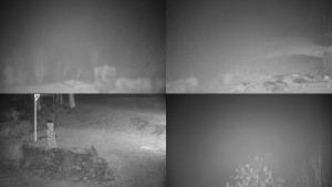 Chata Myslivna SKP Olomouc - Sdružený snímek okolí chaty Myslivna - 15.11.2025 v 05:31 Chata Myslivna SKP Olomouc - Sdružený snímek okolí chaty Myslivna - 15.11.2025 v 05:31