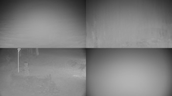 Snímek 17.11.2025 v 06:01