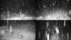 Sdružený snímek okolí chaty Myslivna