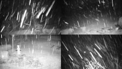 Sdružený snímek okolí chaty Myslivna