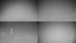 Sdružený snímek okolí chaty Myslivna