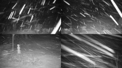 Sdružený snímek okolí chaty Myslivna