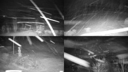 Sdružený snímek okolí chaty Myslivna