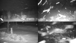 Sdružený snímek okolí chaty Myslivna