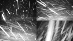 Sdružený snímek okolí chaty Myslivna