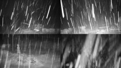 Sdružený snímek okolí chaty Myslivna