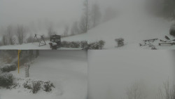 Sdružený snímek okolí chaty Myslivna