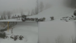 Sdružený snímek okolí chaty Myslivna