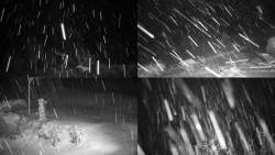 Sdružený snímek okolí chaty Myslivna