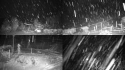 Sdružený snímek okolí chaty Myslivna