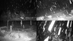 Sdružený snímek okolí chaty Myslivna