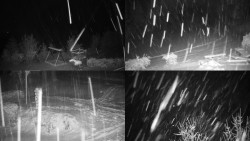 Sdružený snímek okolí chaty Myslivna