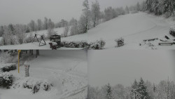 Sdružený snímek okolí chaty Myslivna