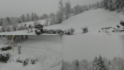 Sdružený snímek okolí chaty Myslivna