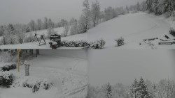 Sdružený snímek okolí chaty Myslivna