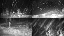 Sdružený snímek okolí chaty Myslivna