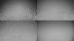 Sdružený snímek okolí chaty Myslivna