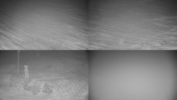 Sdružený snímek okolí chaty Myslivna