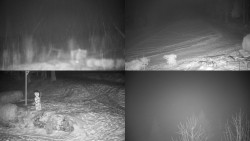 Sdružený snímek okolí chaty Myslivna