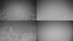 Sdružený snímek okolí chaty Myslivna