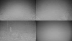 Sdružený snímek okolí chaty Myslivna