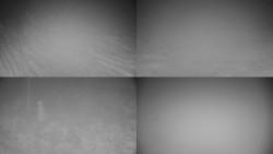 Sdružený snímek okolí chaty Myslivna