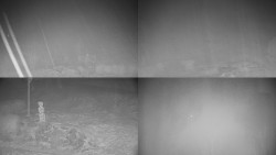 Sdružený snímek okolí chaty Myslivna