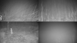 Sdružený snímek okolí chaty Myslivna