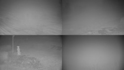 Sdružený snímek okolí chaty Myslivna