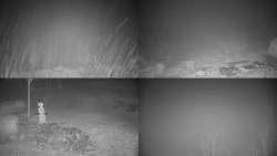 Sdružený snímek okolí chaty Myslivna