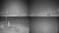 Sdružený snímek okolí chaty Myslivna