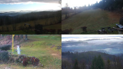 Sdružený snímek okolí chaty Myslivna