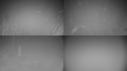 Sdružený snímek okolí chaty Myslivna