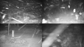 Chata Myslivna SKP Olomouc