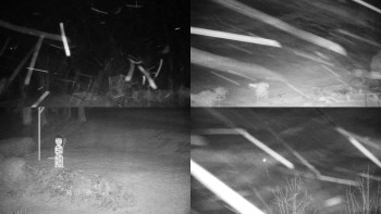 Chata Myslivna SKP Olomouc