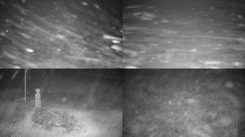 Chata Myslivna SKP Olomouc