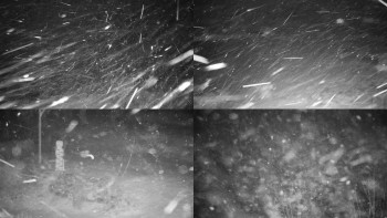 Chata Myslivna SKP Olomouc