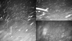 Sdružený snímek okolí chaty Myslivna