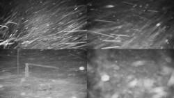 Sdružený snímek okolí chaty Myslivna