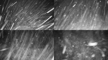 Chata Myslivna SKP Olomouc