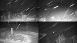 Sdružený snímek okolí chaty Myslivna