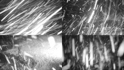 Sdružený snímek okolí chaty Myslivna