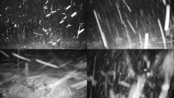 Sdružený snímek okolí chaty Myslivna