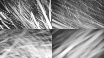 Chata Myslivna SKP Olomouc