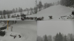 Sdružený snímek okolí chaty Myslivna